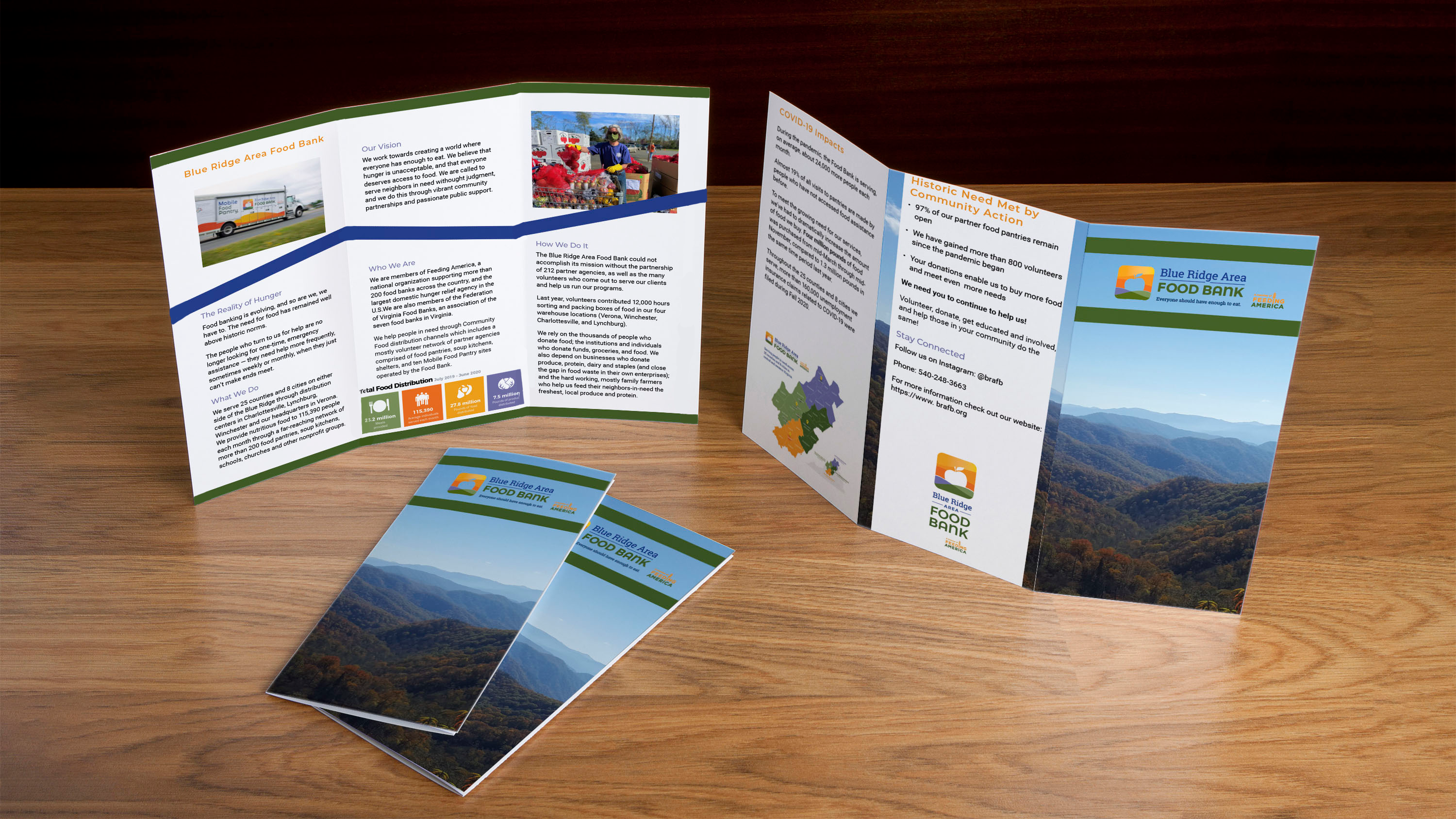 Blue ridge area food bank brochure image